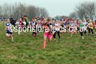 Under-11s NEHL, Aykley Heads, Durham. Photo: David T. Hewitson/Sports for All Pics